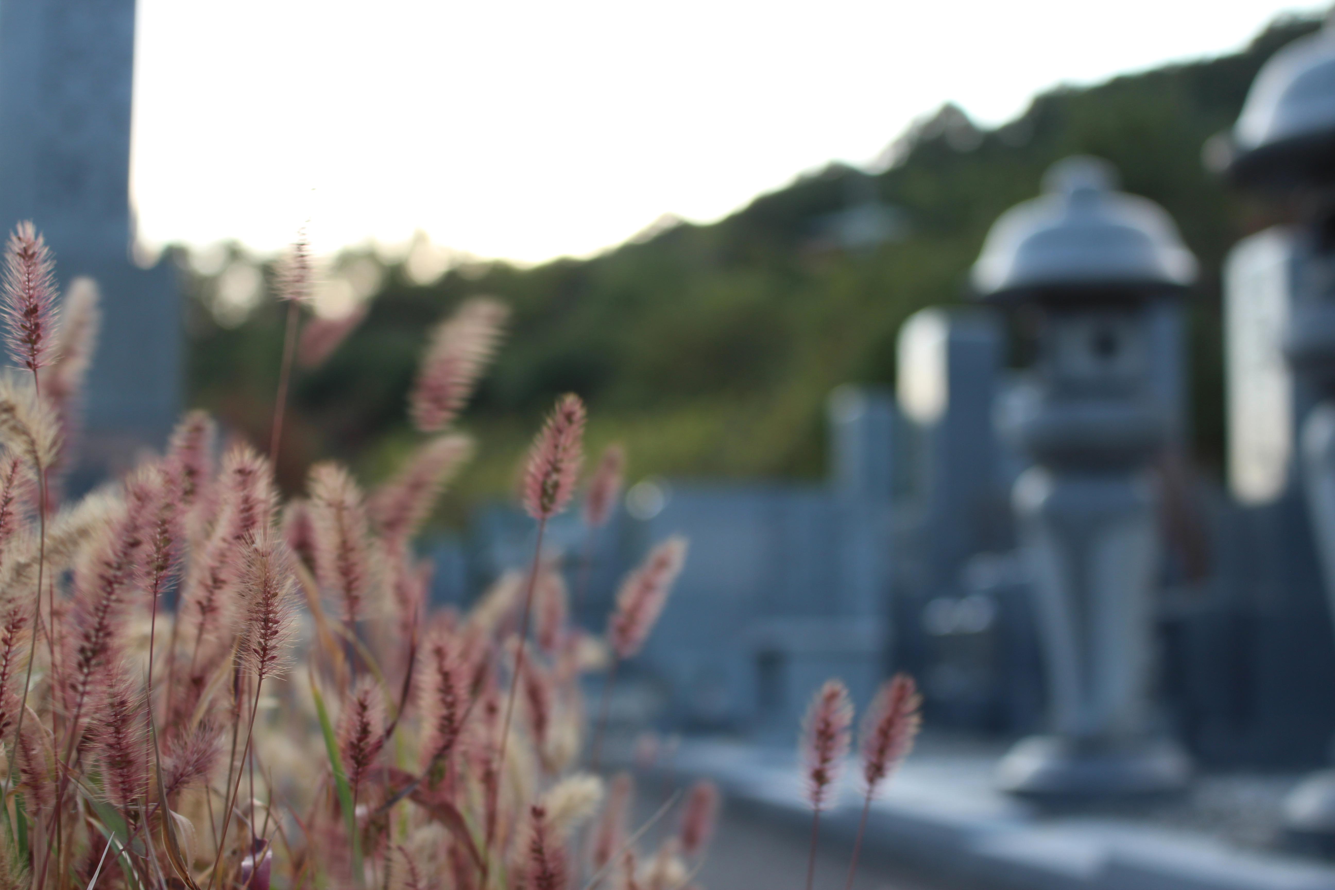 高須墓地